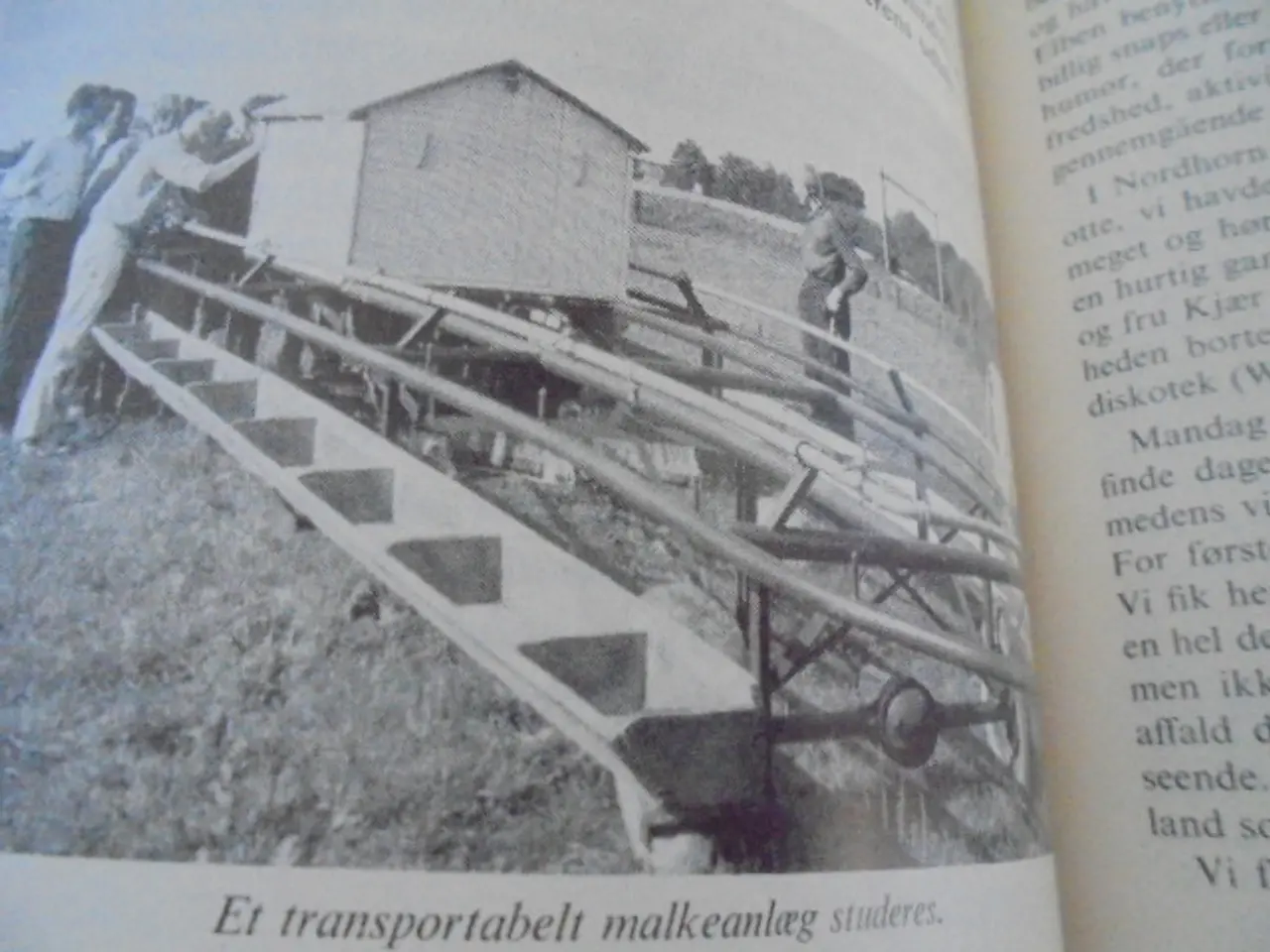 Billede 10 - 10 årsskrifter fra Kalø Landbrugsskole 1963-1972