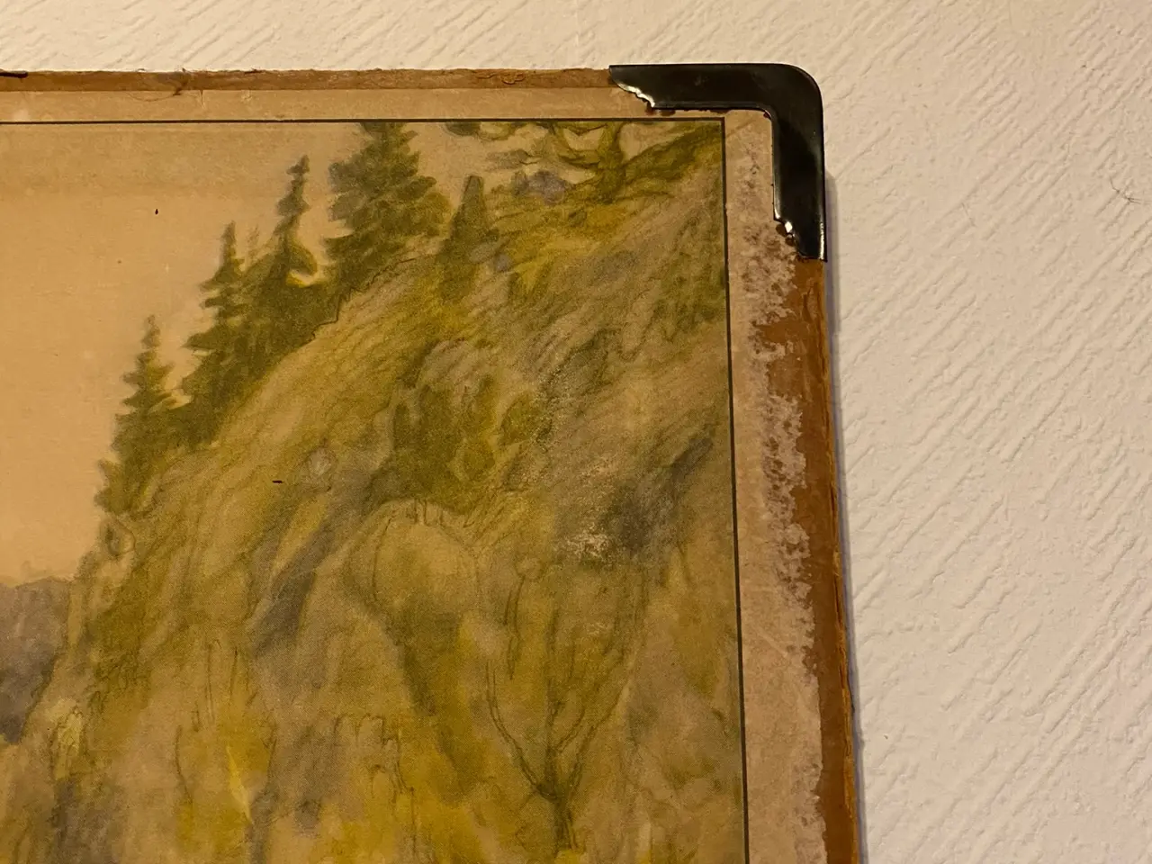 Billede 8 - Anskuelsestavle svensk forårsnatur