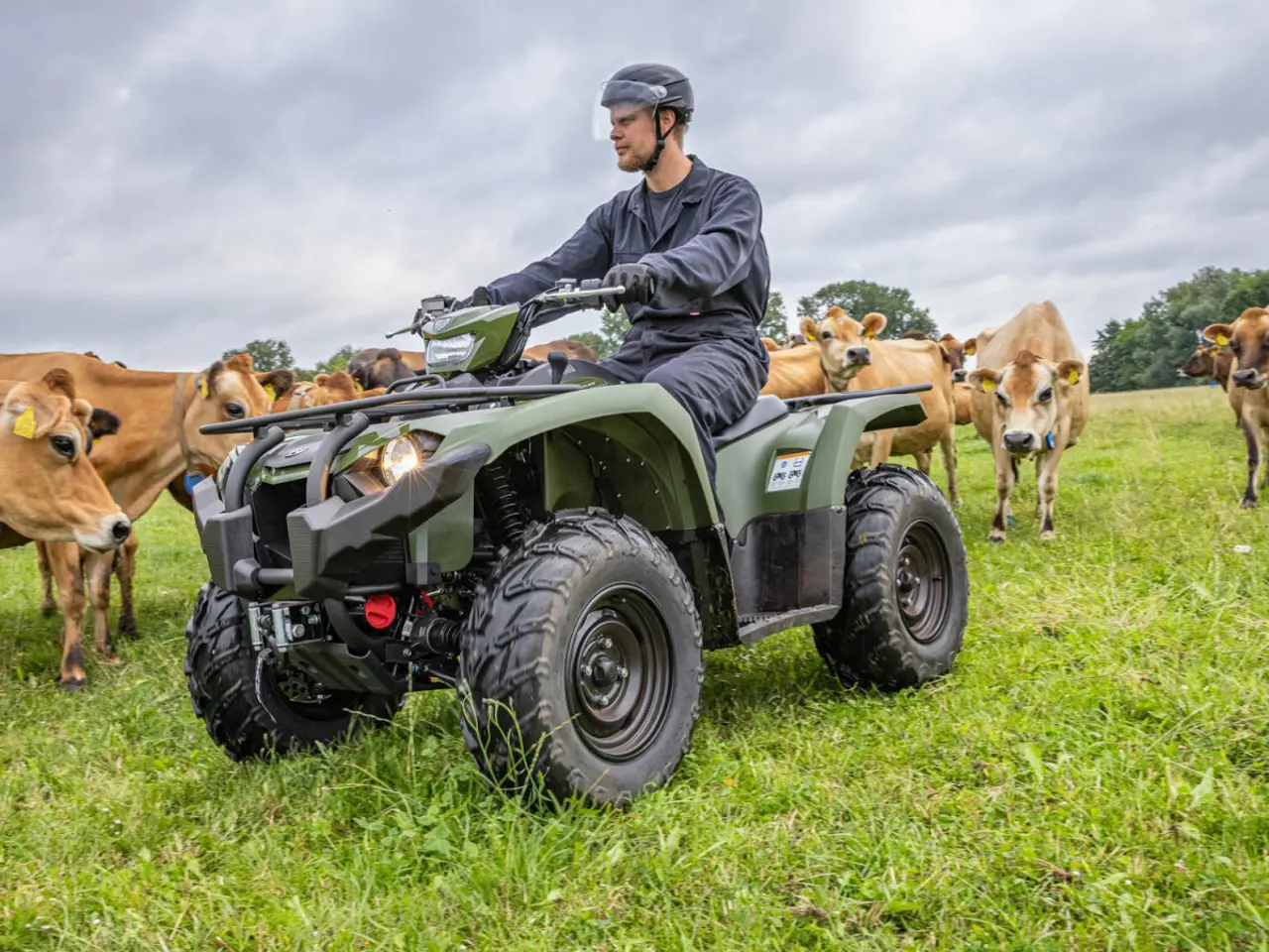 Billede 4 - Yamaha Kodiak 450 EPS Diff-lock Traktor