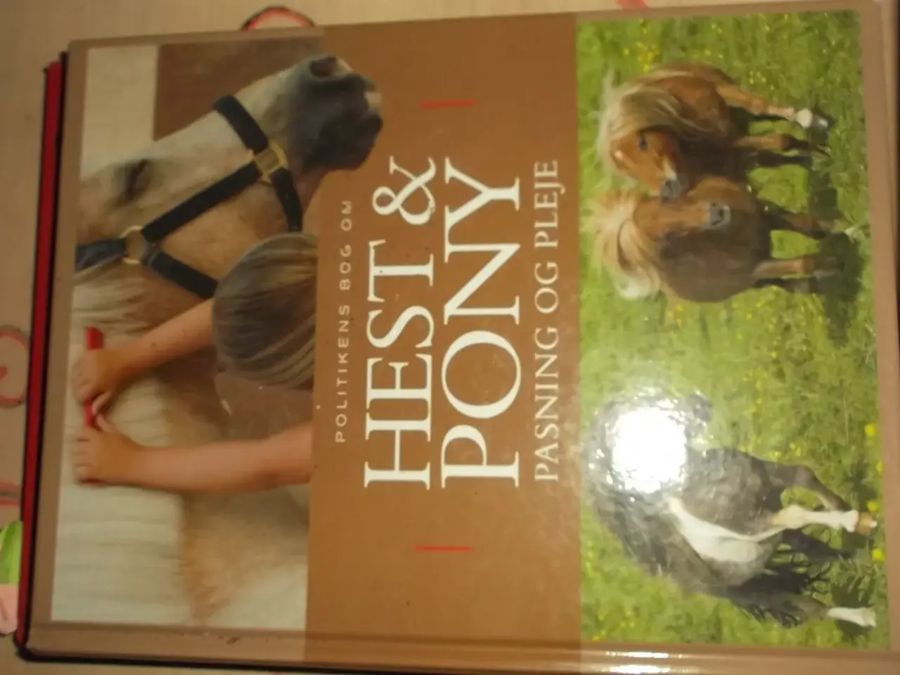 Billede 1 - Hest og pony
