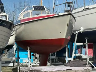 Maxi 87