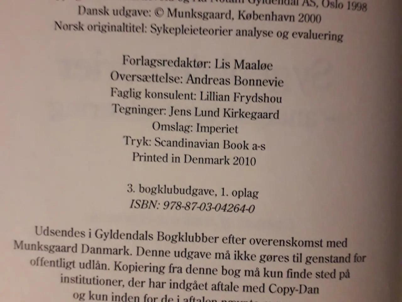 Billede 2 - Sygeplejeteorier - Analyse og evaluering