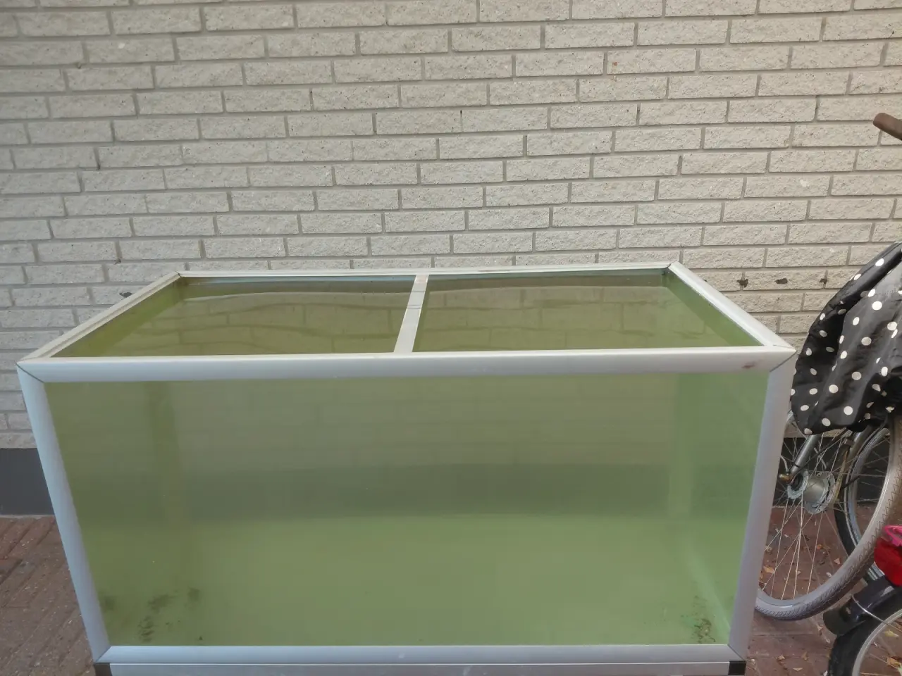 Billede 9 - Akvarier 250L