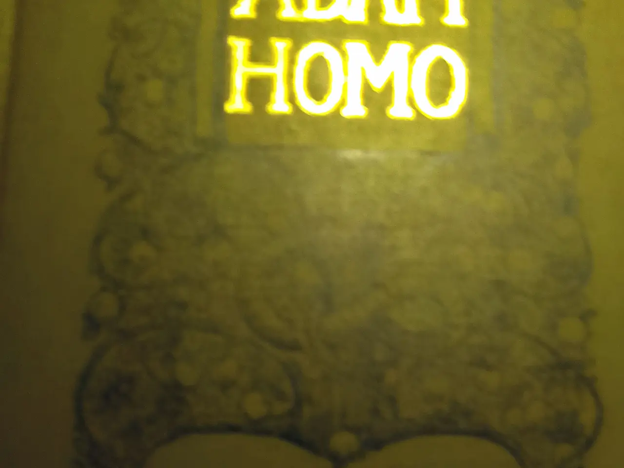 Billede 1 - Fra. Paludan-Myller: Adam Homo. Et digt.