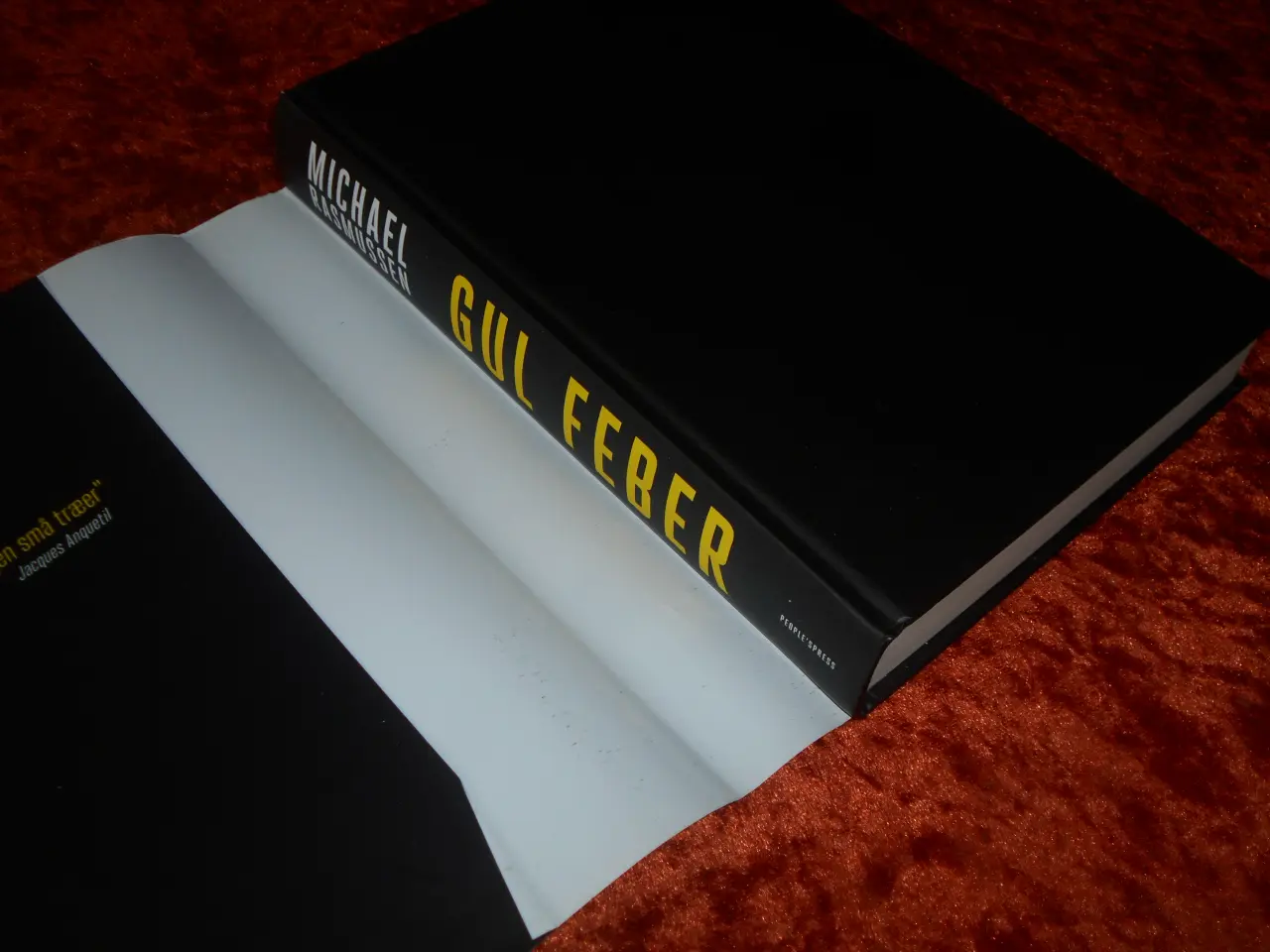 Billede 2 - Gul feber, Michael Rasmussen,