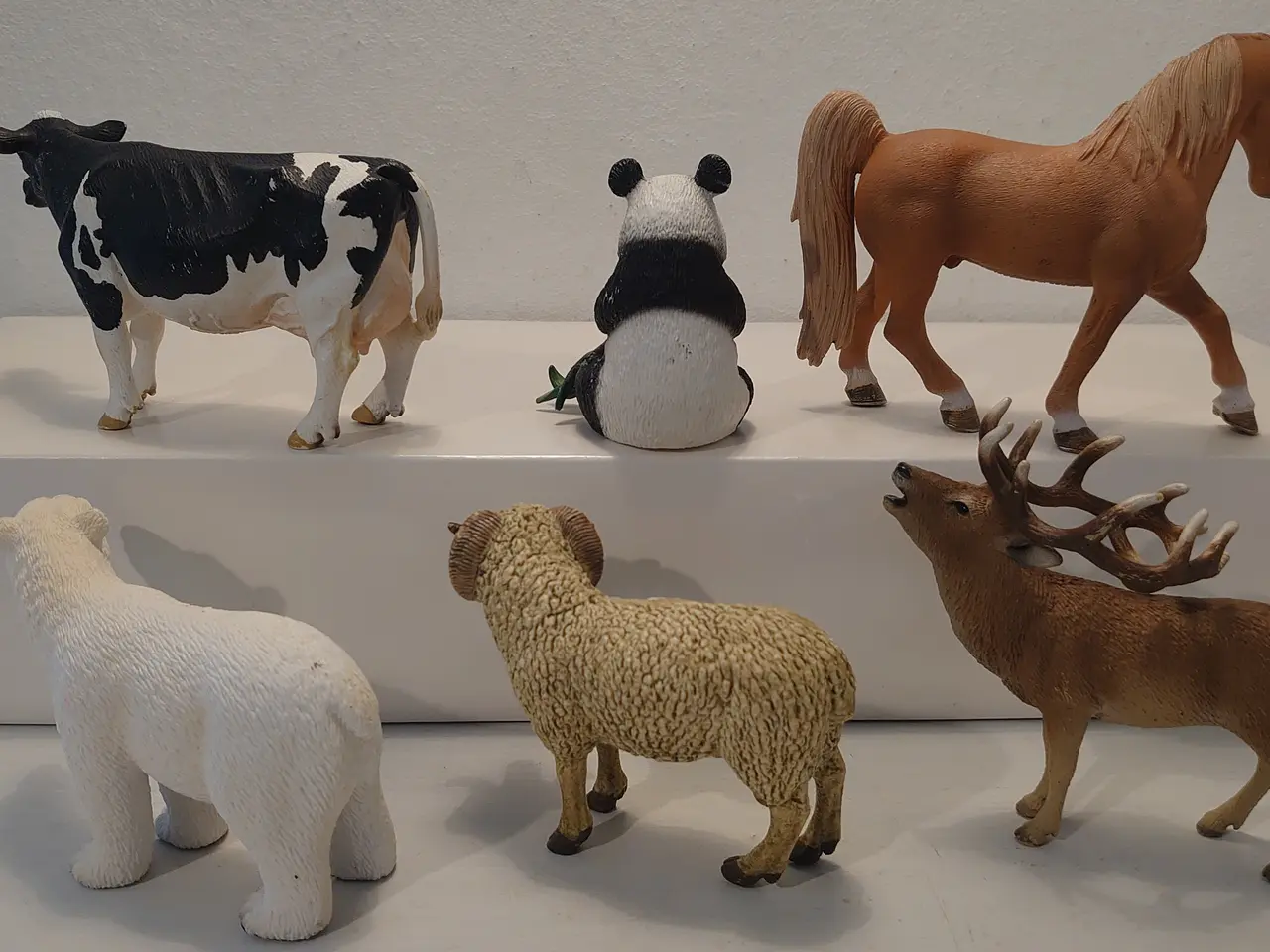 Billede 4 - 6 stk store Schleich dyr. Kun samlet.