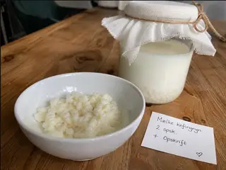 Friske mælkekefir-gryn: lav din egen mælkekefir