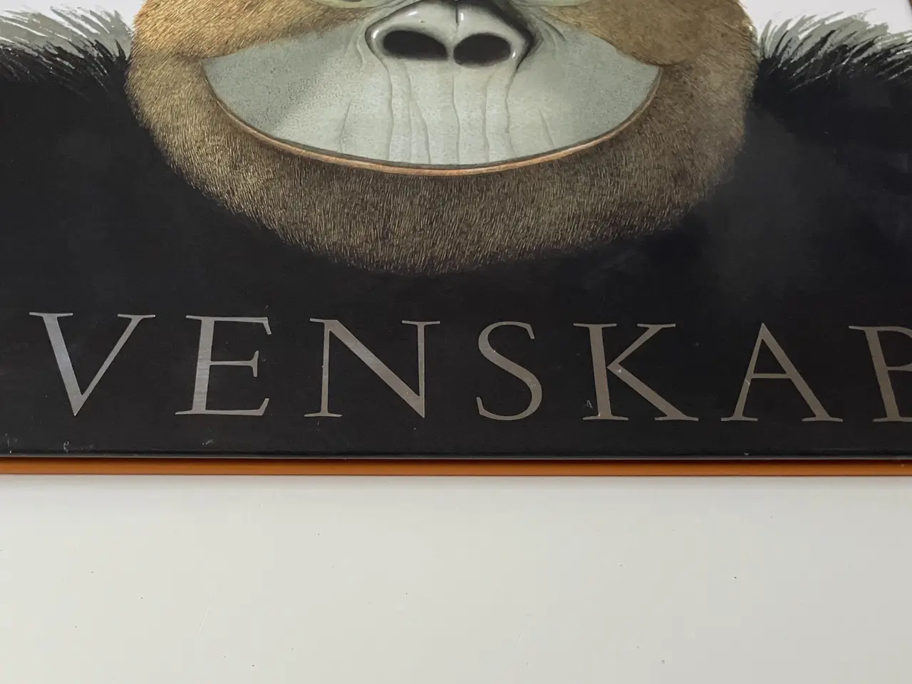 Billede 4 - Venskab. Af Anthony Browne