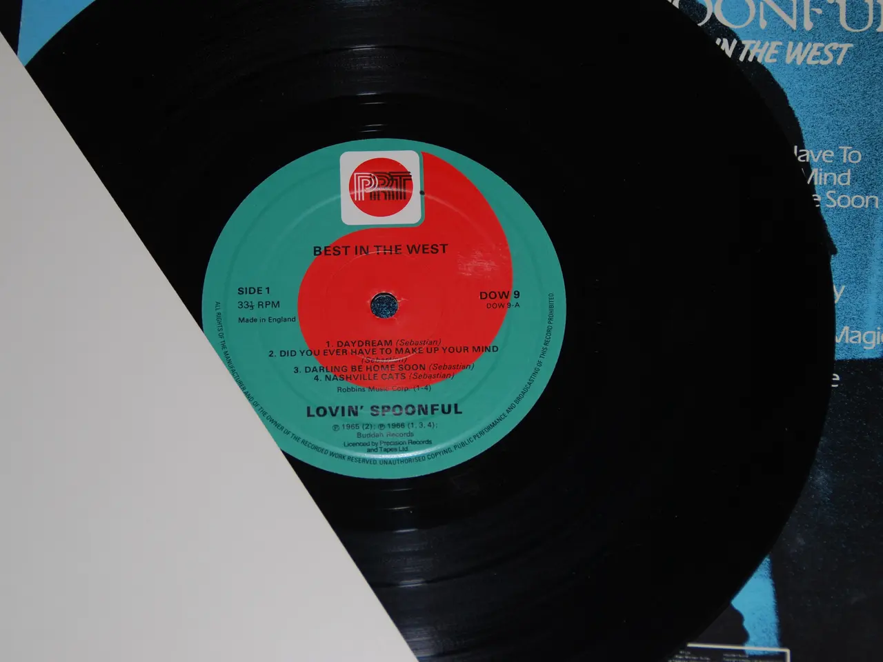 Billede 3 - 10" vinyl - The Lovin' Spoonful
