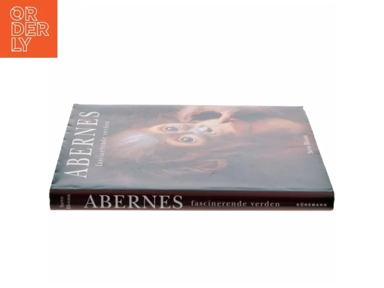 Billede 2 - 'Abernes fascinerende verden' af Steve Bloom (f. 1953) (bog)