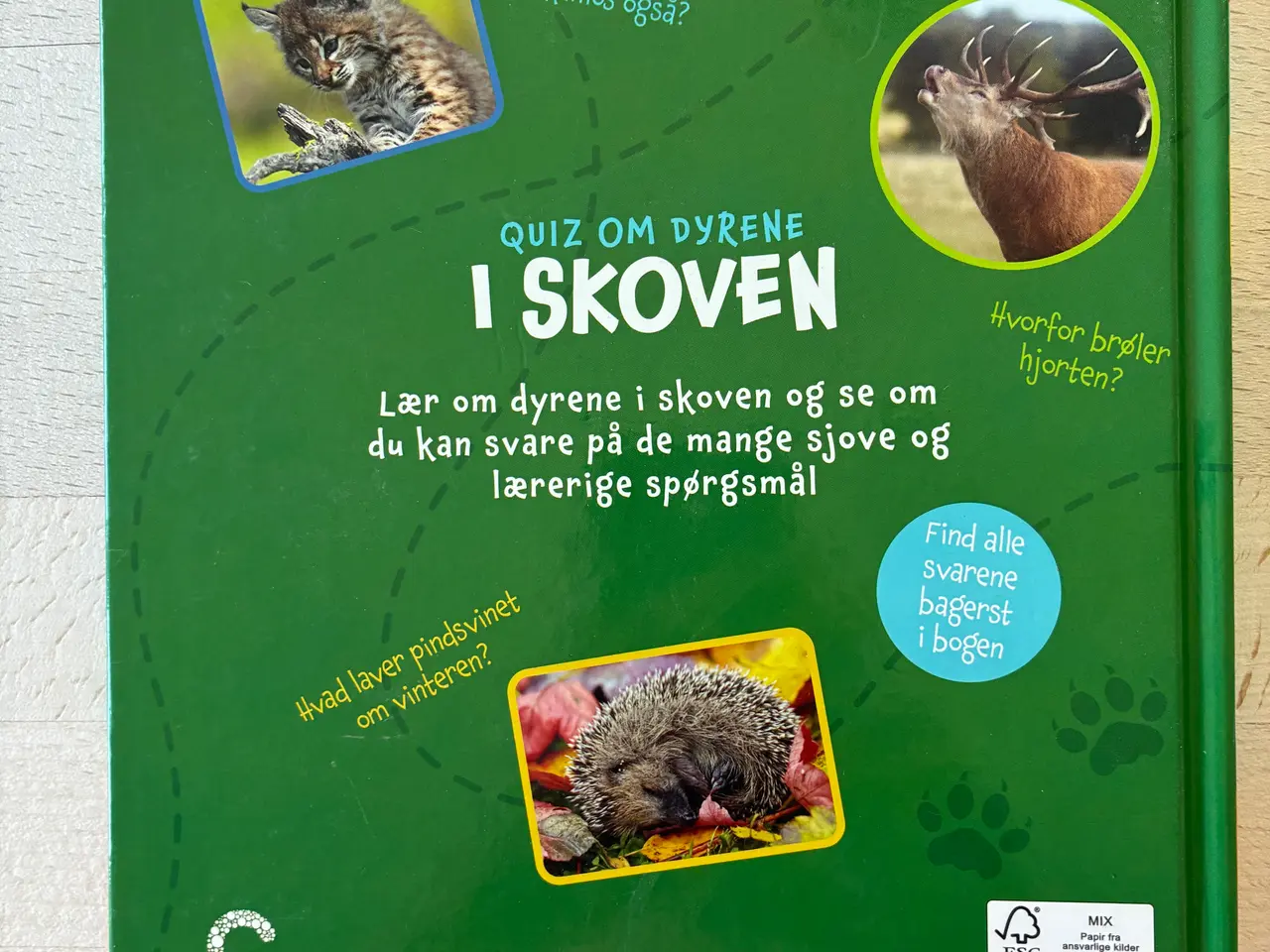 Billede 2 - Quiz om dyrene i skoven