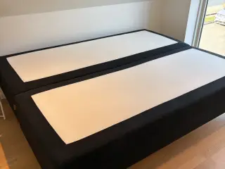 Boxmadras