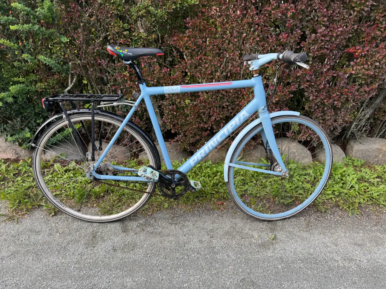 Billede 1 - Herrecykel Principija
