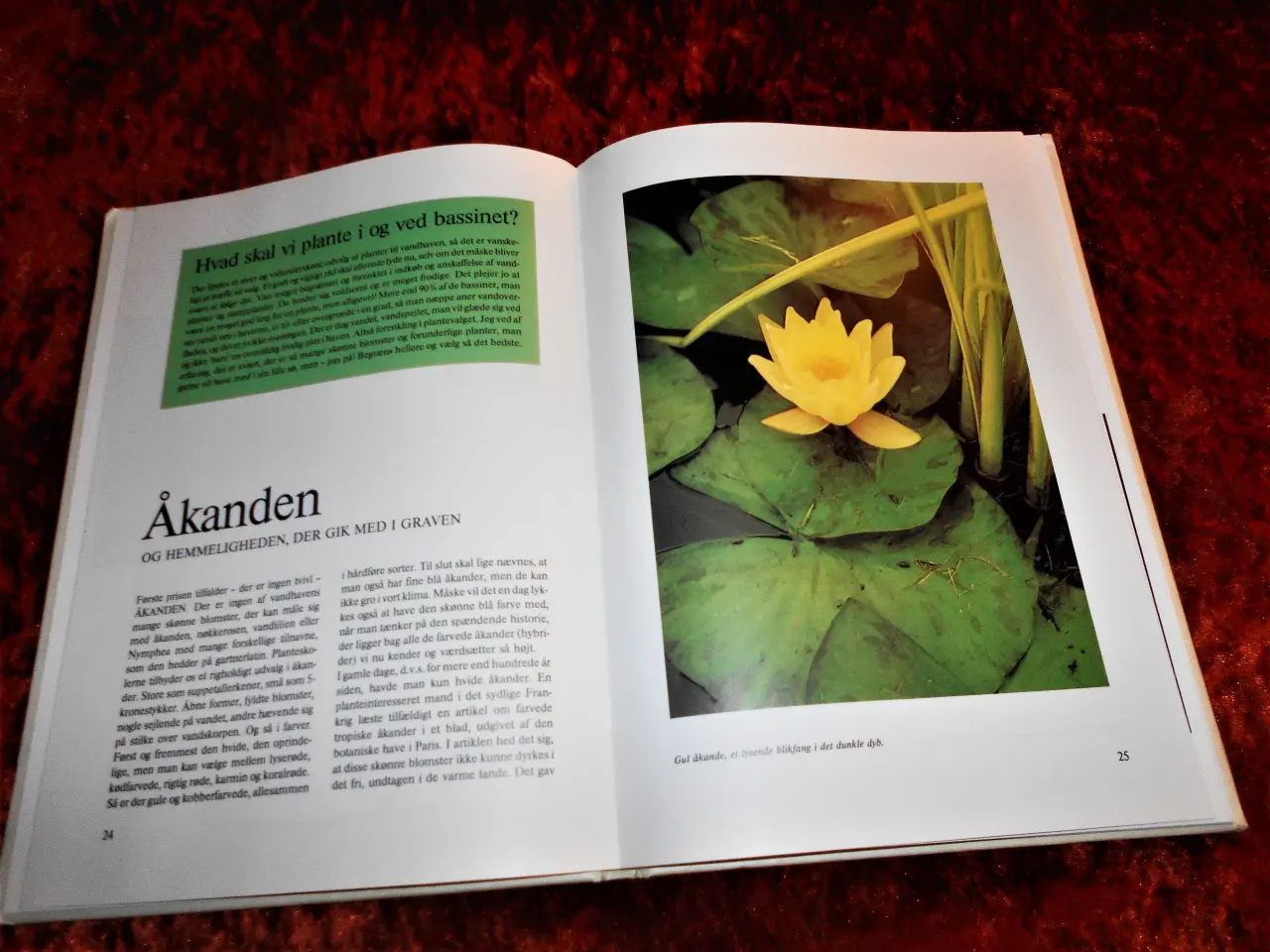 Billede 5 - En have for sig, Georg Sand