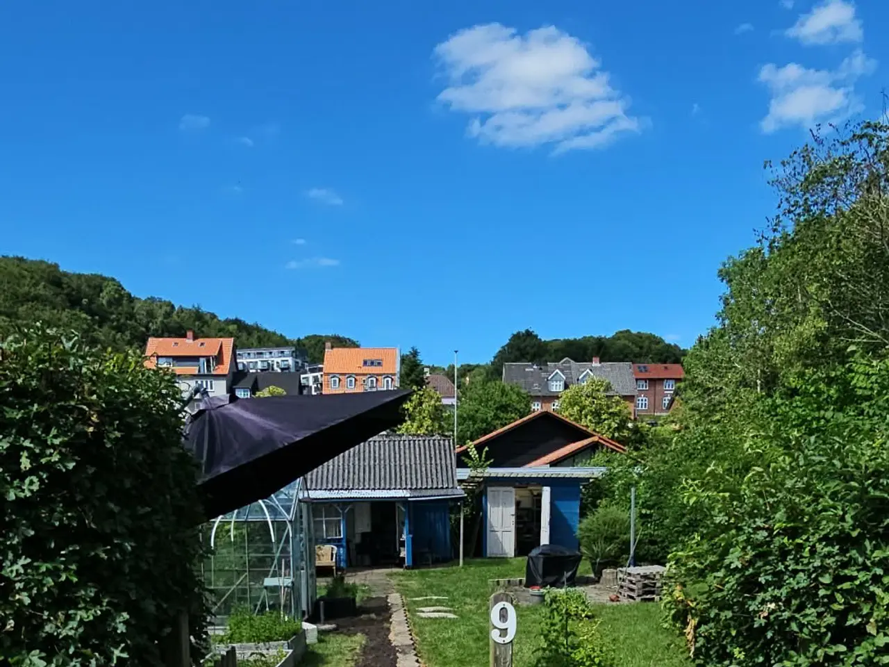 Billede 1 - Have i Vejle 