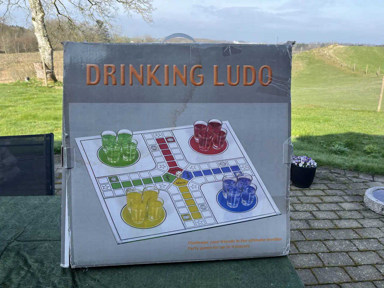 Billede 3 - Ludo spil med shotsglas