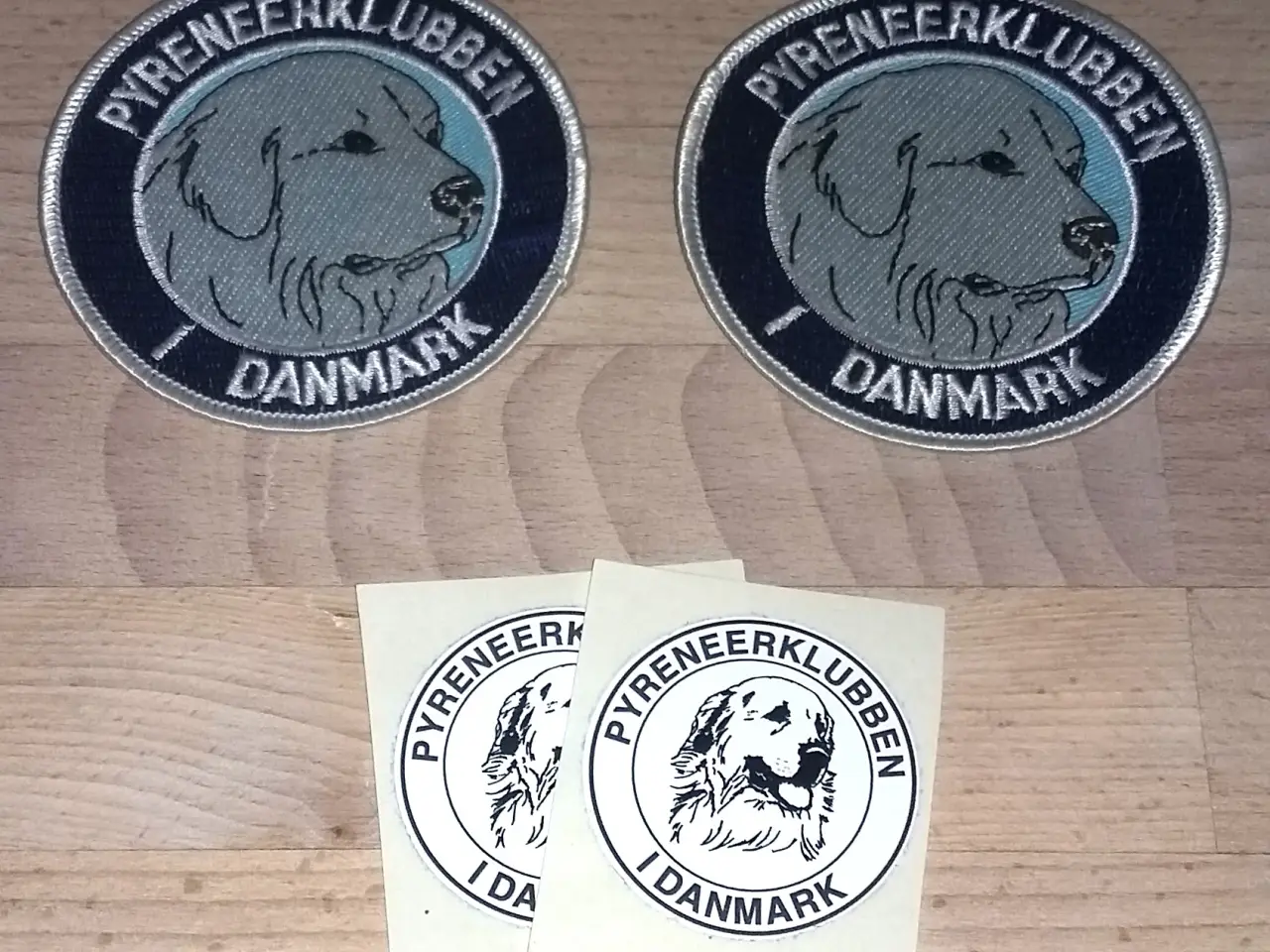 Billede 8 - Hunde premier Pyreneer