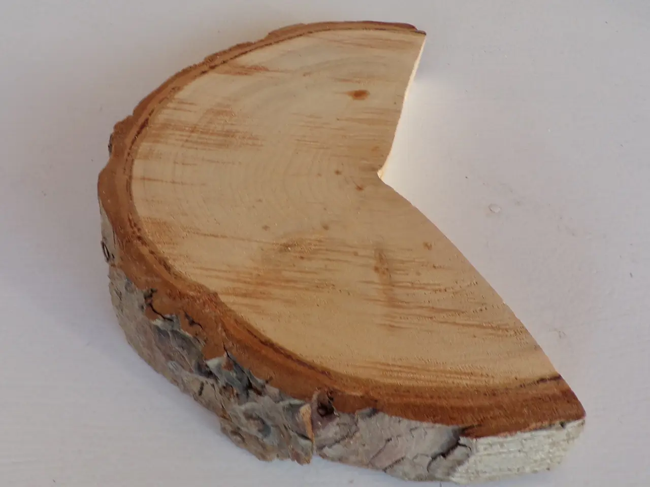 Billede 2 - NY Thuja Træskive 21,5 cm til kreative projekter