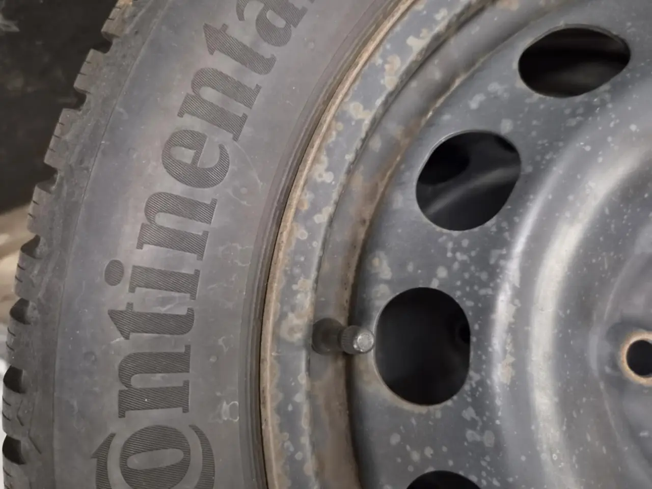 Billede 3 - Vinterhjul på stålfælge – 205/55 R16 Continental