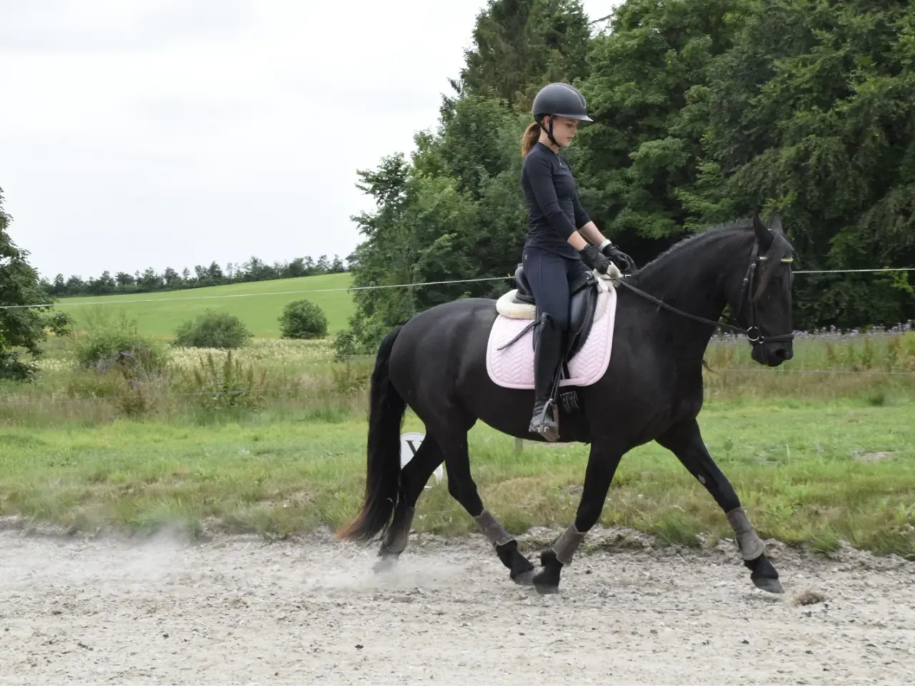 Billede 6 - Halv frieser halv pony