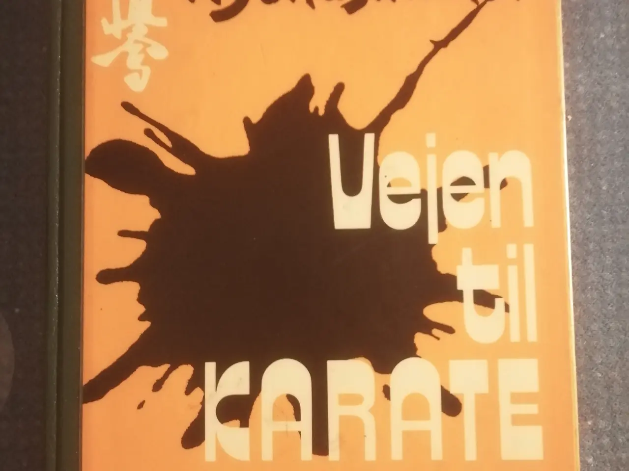 Billede 1 - Kyokushinkai - Vejen til Karate vol 2