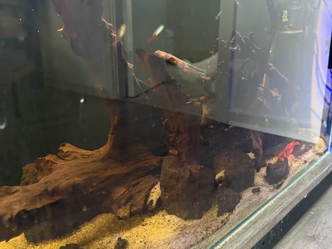 Billede 4 - Aquael Opti Tank 80 - 112L