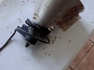 Varmelampe