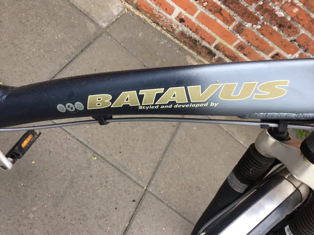 Billede 3 -  Batavus crescendo  