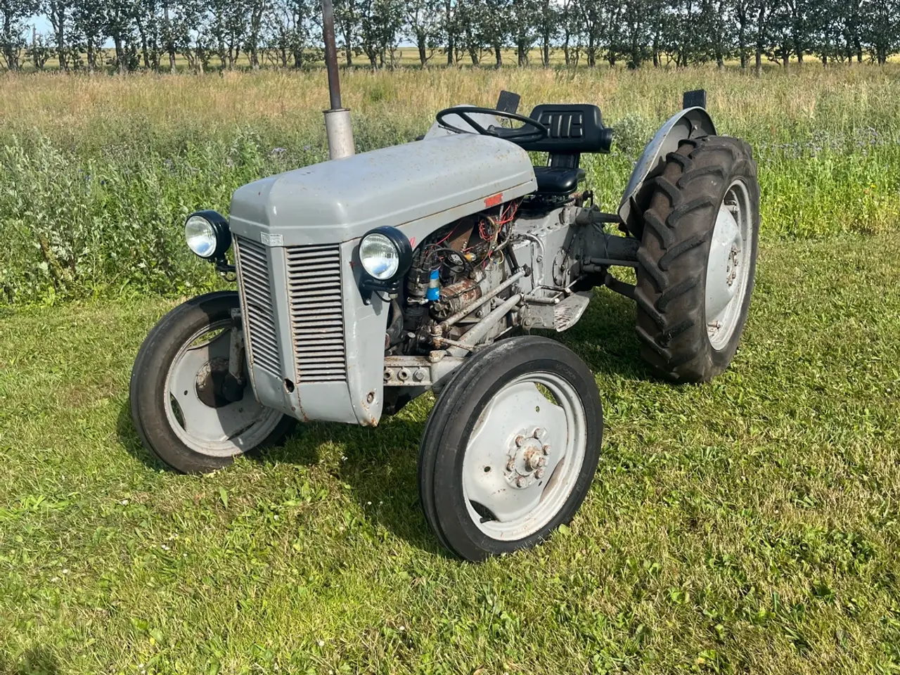 Billede 2 - Ferguson 26