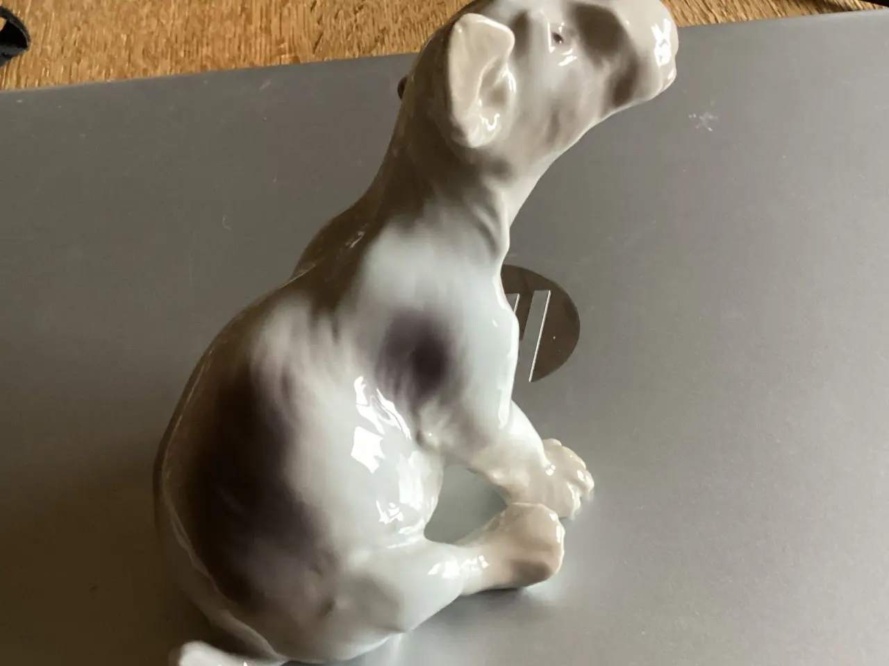 Billede 2 - BG Sealyham Hundehvalp