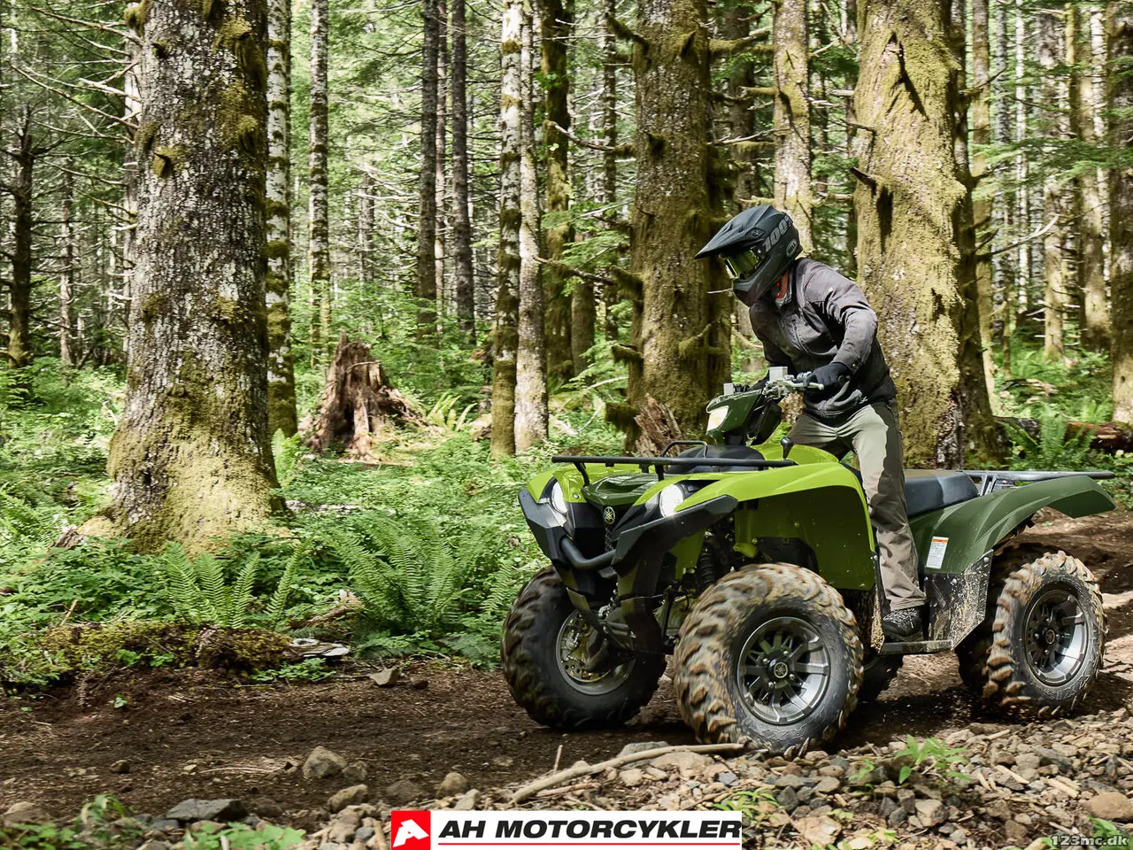 Billede 10 - Yamaha Grizzly 700 EPS