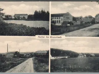Partier fra Brunshaab - Postkort - Ubrugt