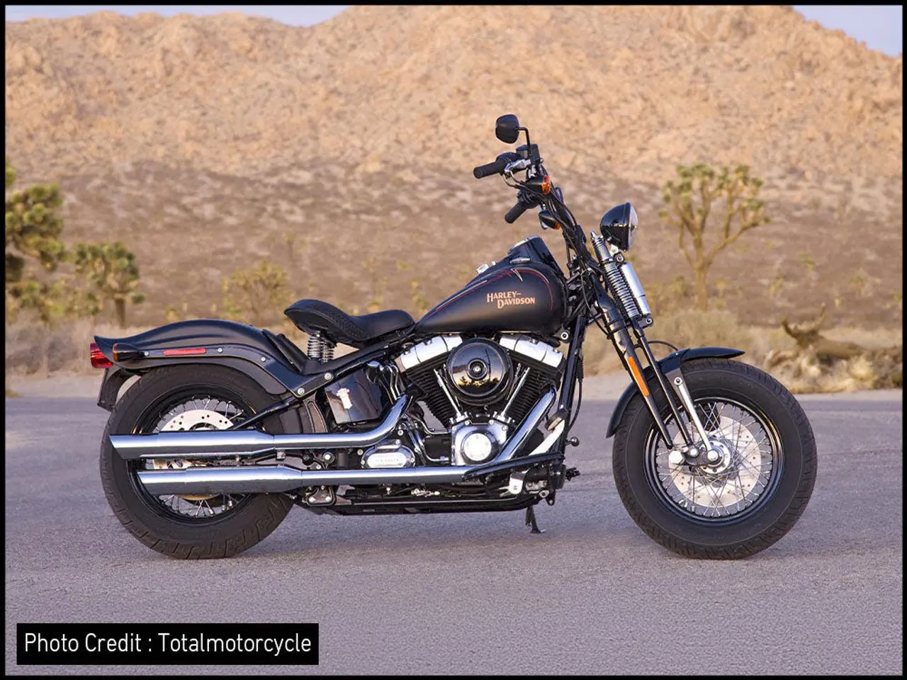 Billede 5 - Luftfilter cover Harley-Davidson