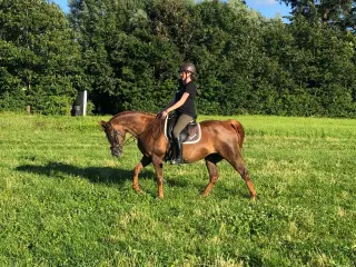 Fantastisk lille hoppe