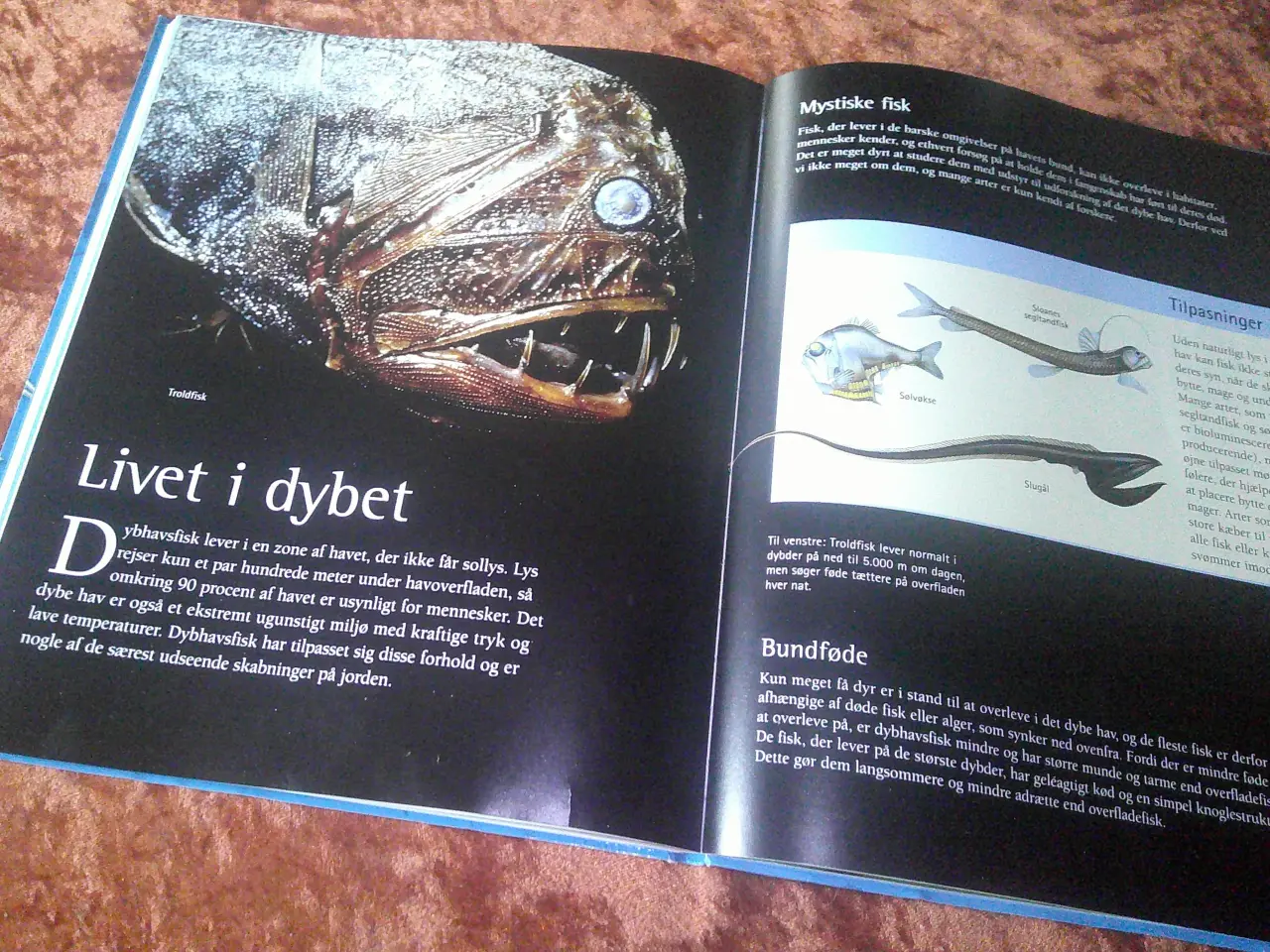 Billede 4 - Den store guide til alverdens dyr, Jinny Johnson,