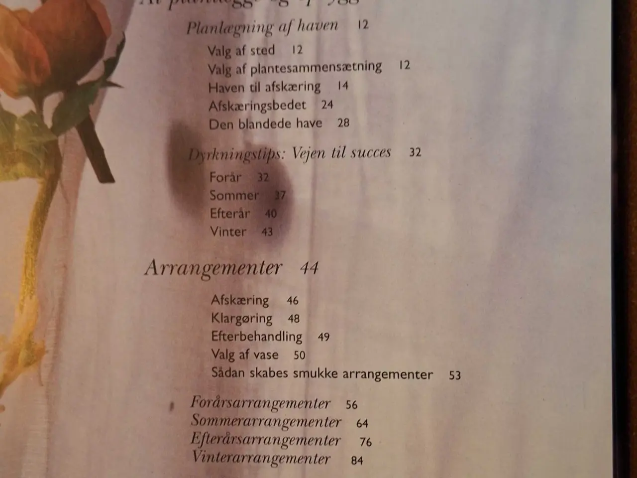 Billede 5 - Blomsterbog 