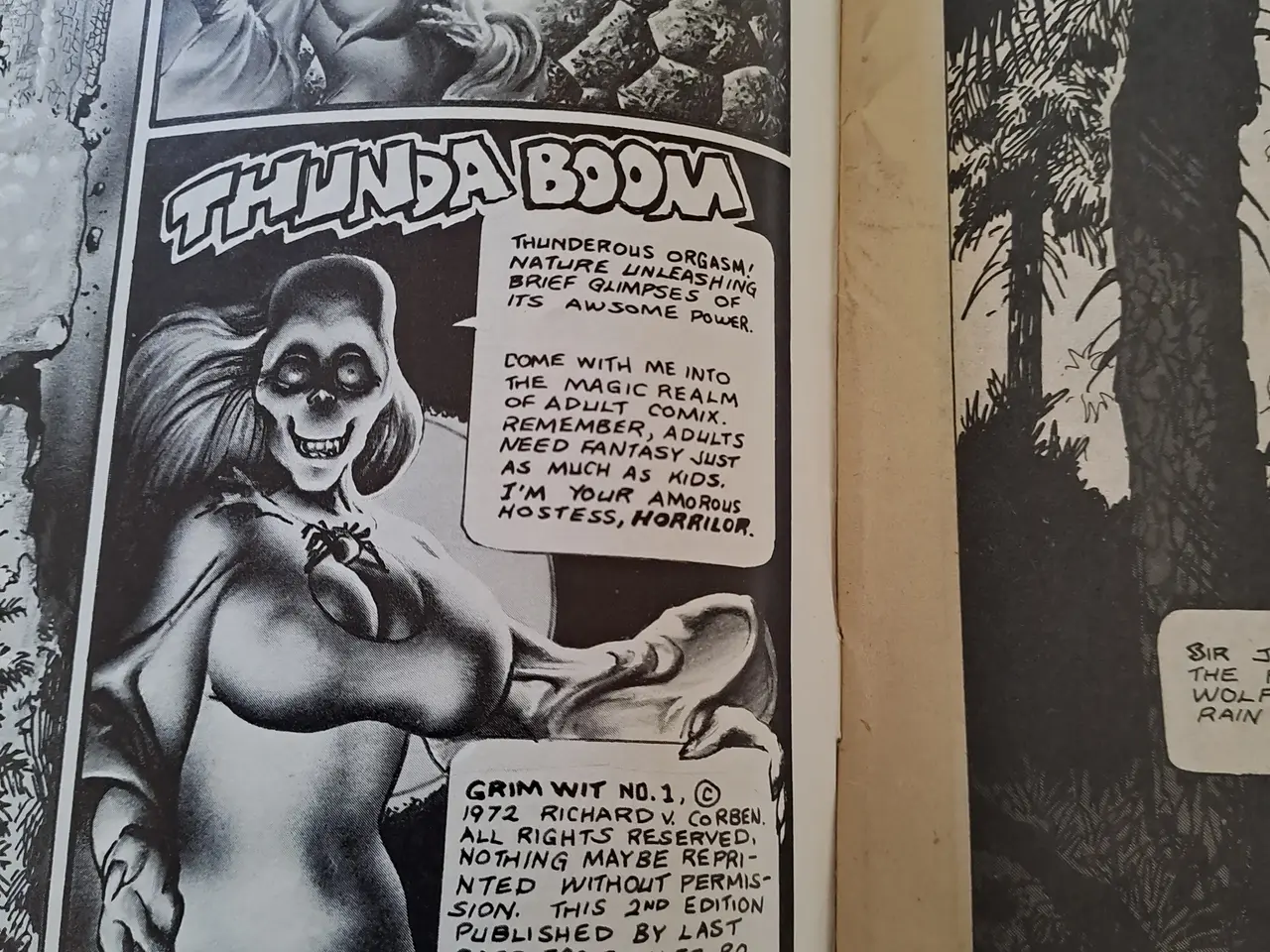 Billede 2 - RICHARD CORBEN ( tegneserie)
