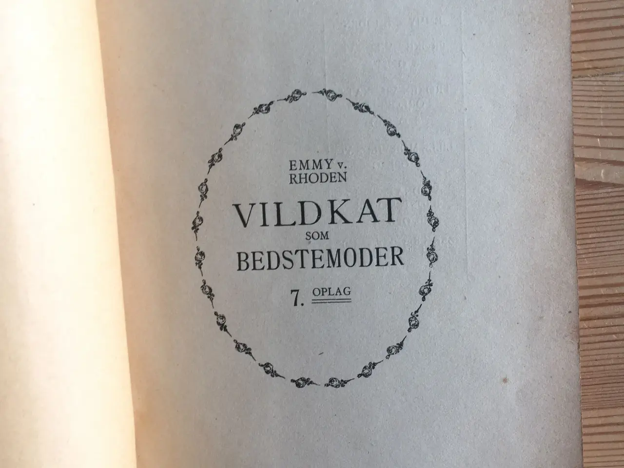 Billede 3 - Vildkat som Bedstemoder