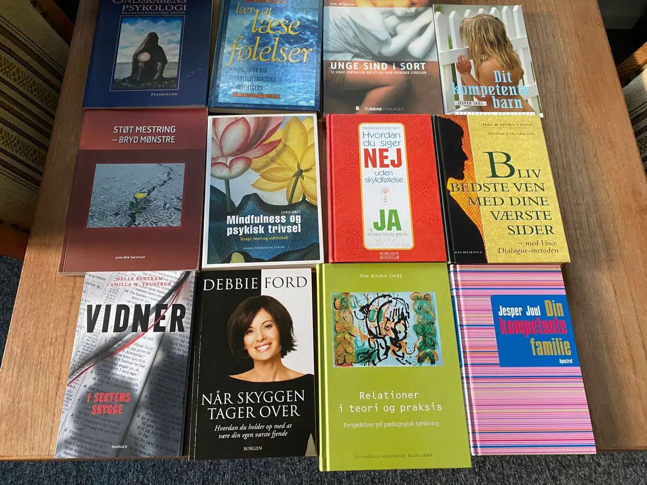 Billede 1 - Terapibøger terapeut