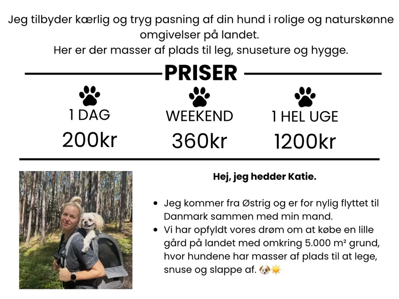 Billede 1 - Hundepasning Gørlev, Kalundborg