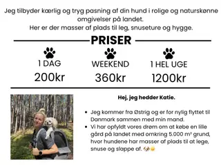 Hundepasning Gørlev, Kalundborg