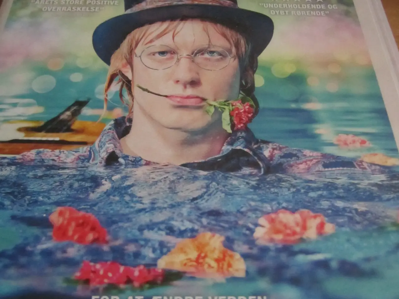 Billede 2 - Kult. STEPPEULVEN. Dvd.