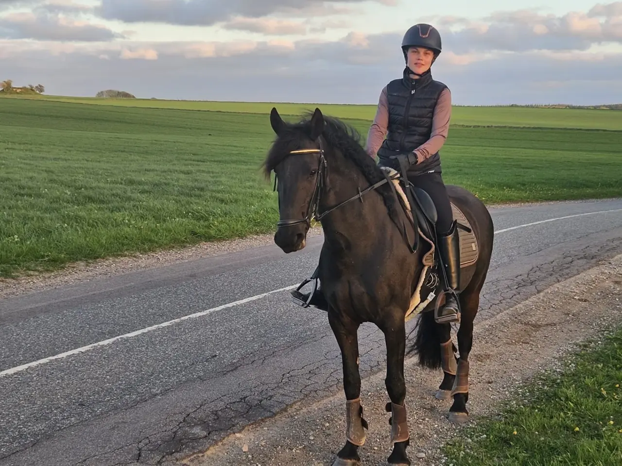 Billede 11 - Halv frieser halv pony
