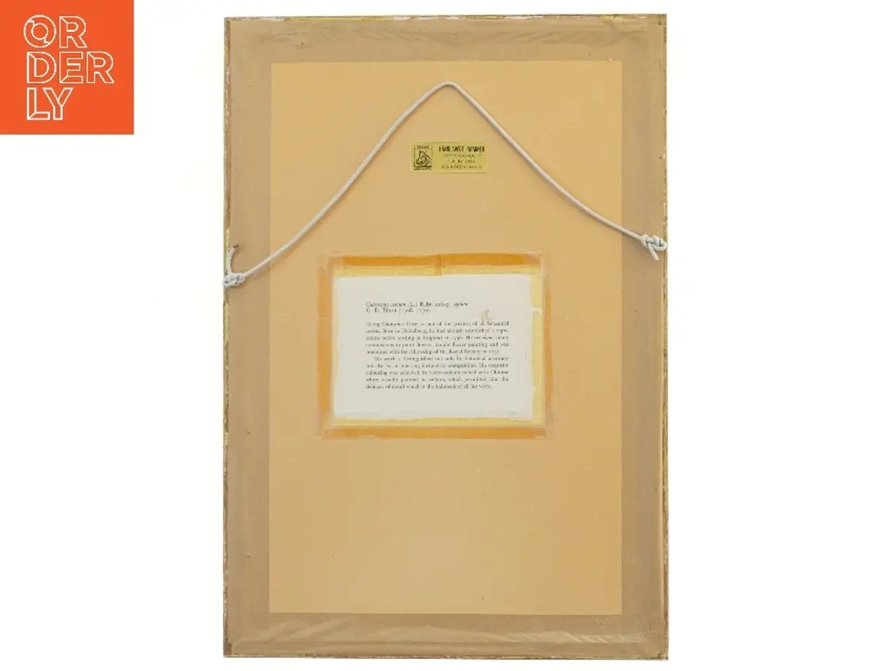 Billede 2 - Botanisk tryk med sommerfugl i guldramme (str. 32x46 cm)