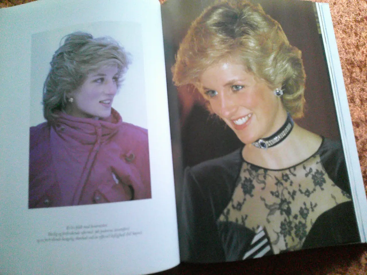 Billede 4 - Diana - prinsesse af Wales 1961-97, Michael O'Mara