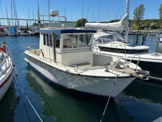 Targa 27