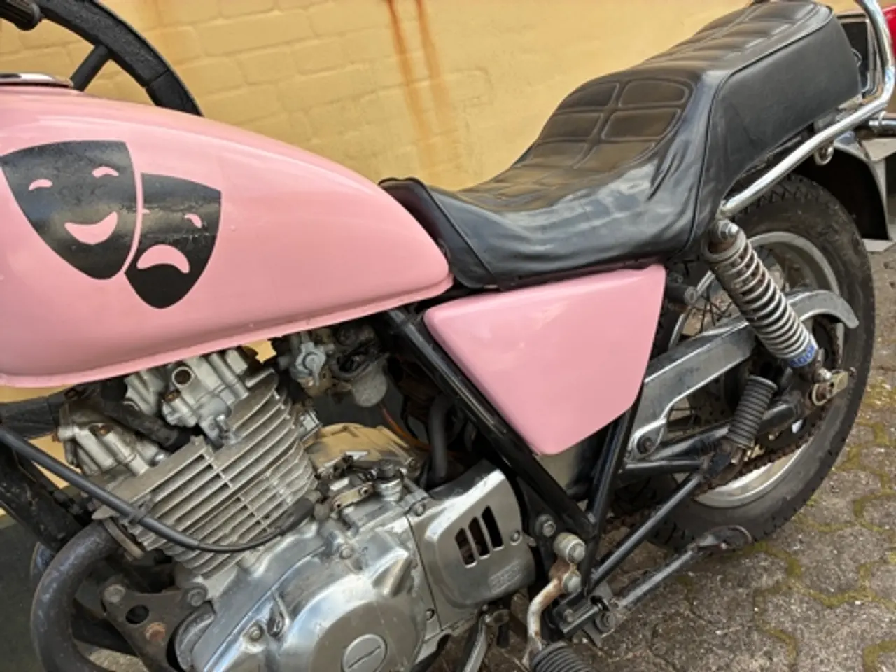Billede 10 - Suzuki GN 250