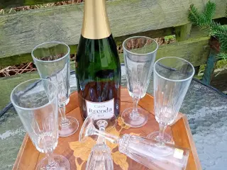 Franske vintage champagne glas