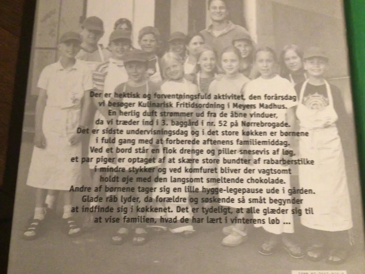 Billede 2 - Meyers køkkenbørn