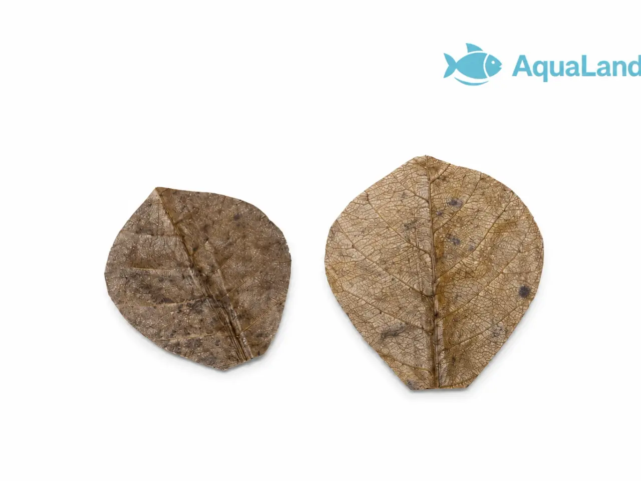 Billede 5 - 🍂 CATAPPA-BLADE TIL AKVARIUM 🍂